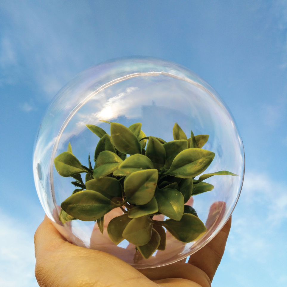 Sustainability